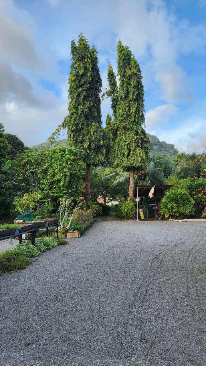 Green Self-Catering Apartment Beau Vallon  Kültér fotó